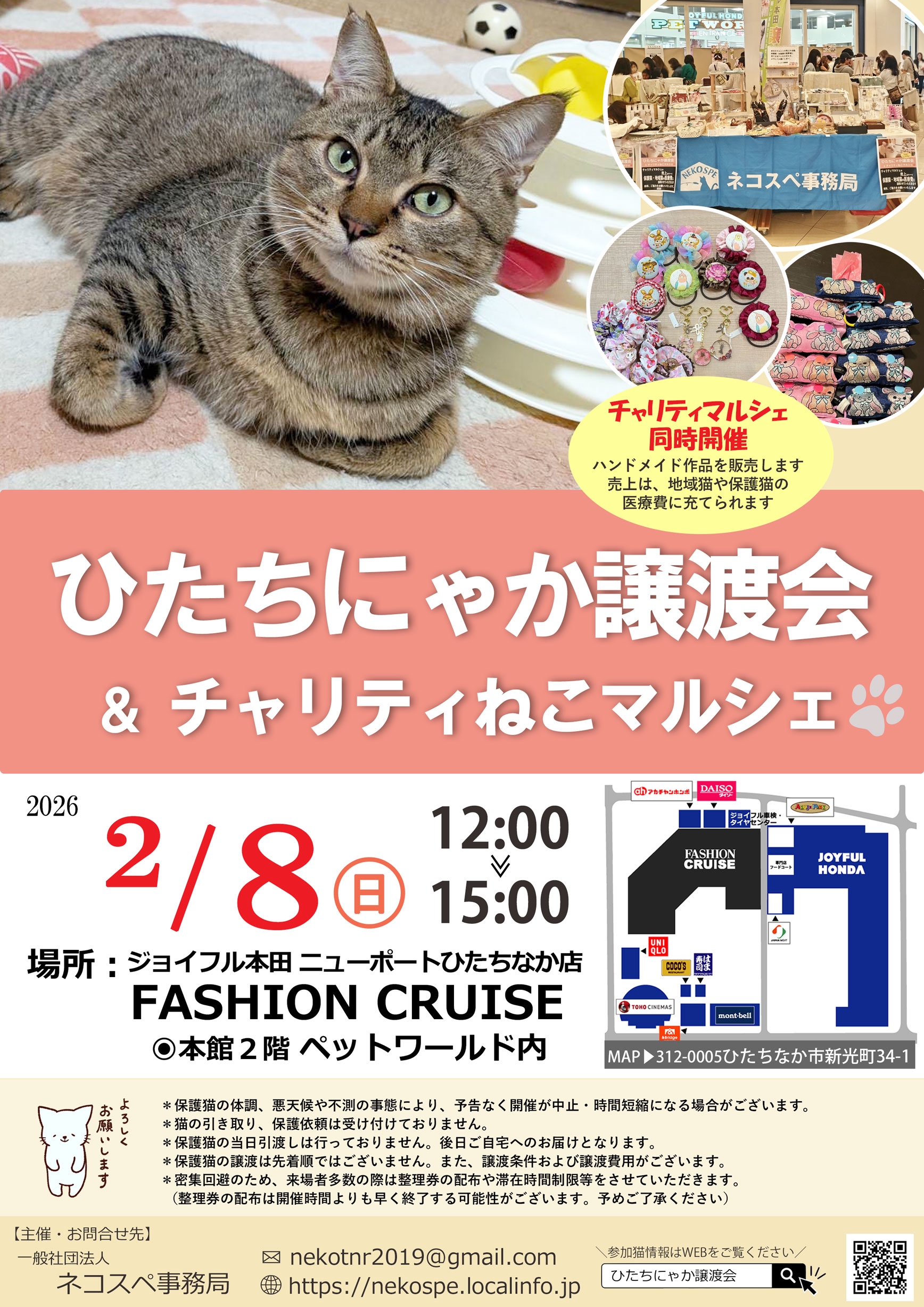 ひたちにゃか譲渡会 | ネコスペ事務局