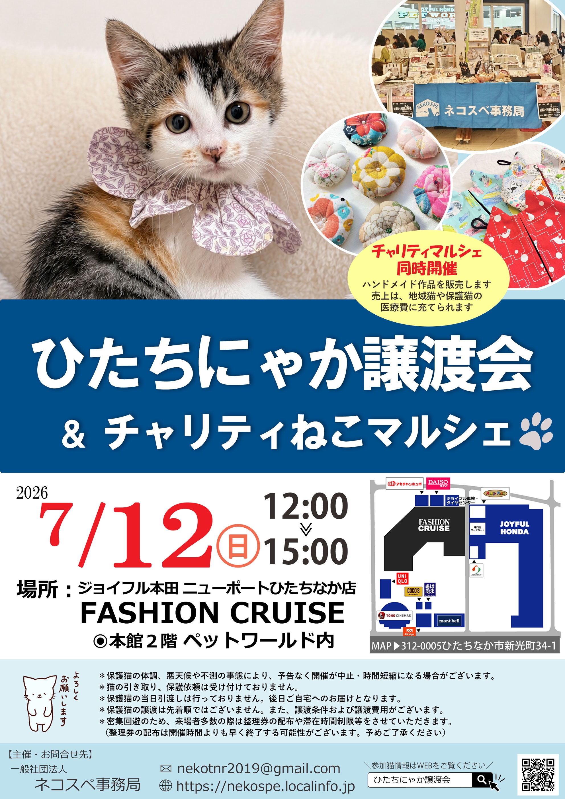 ひたちにゃか譲渡会 | ネコスペ事務局