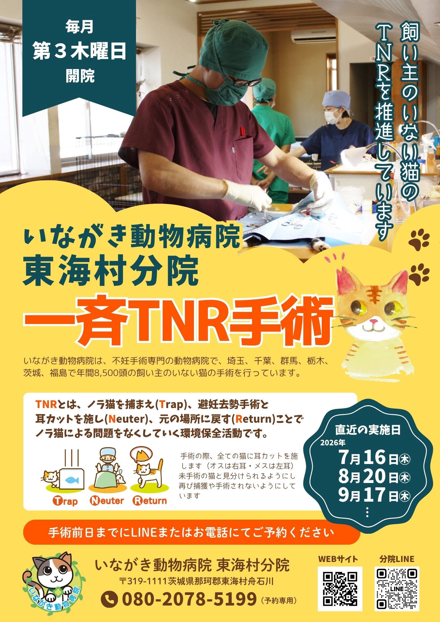 東海村一斉TNR手術 | ネコスペ事務局