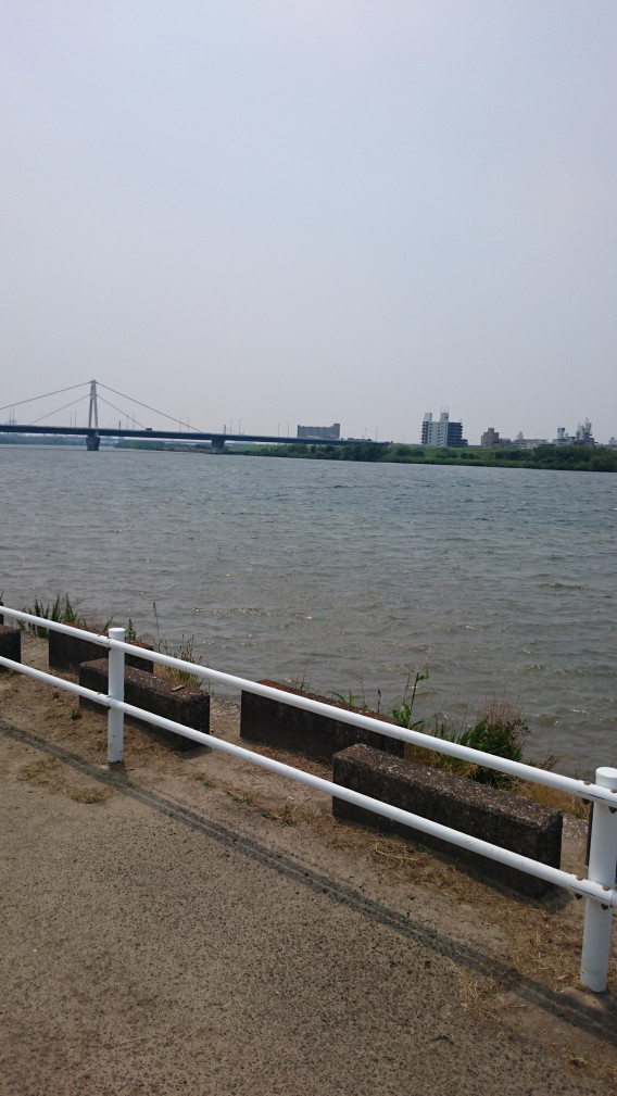 淀川でバス釣り 大阪電気通信大学公式釣りサークル 釣道会