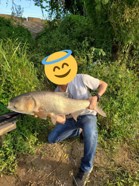 バス釣り まさかのハクレン登場 大阪電気通信大学公式釣りサークル 釣道会