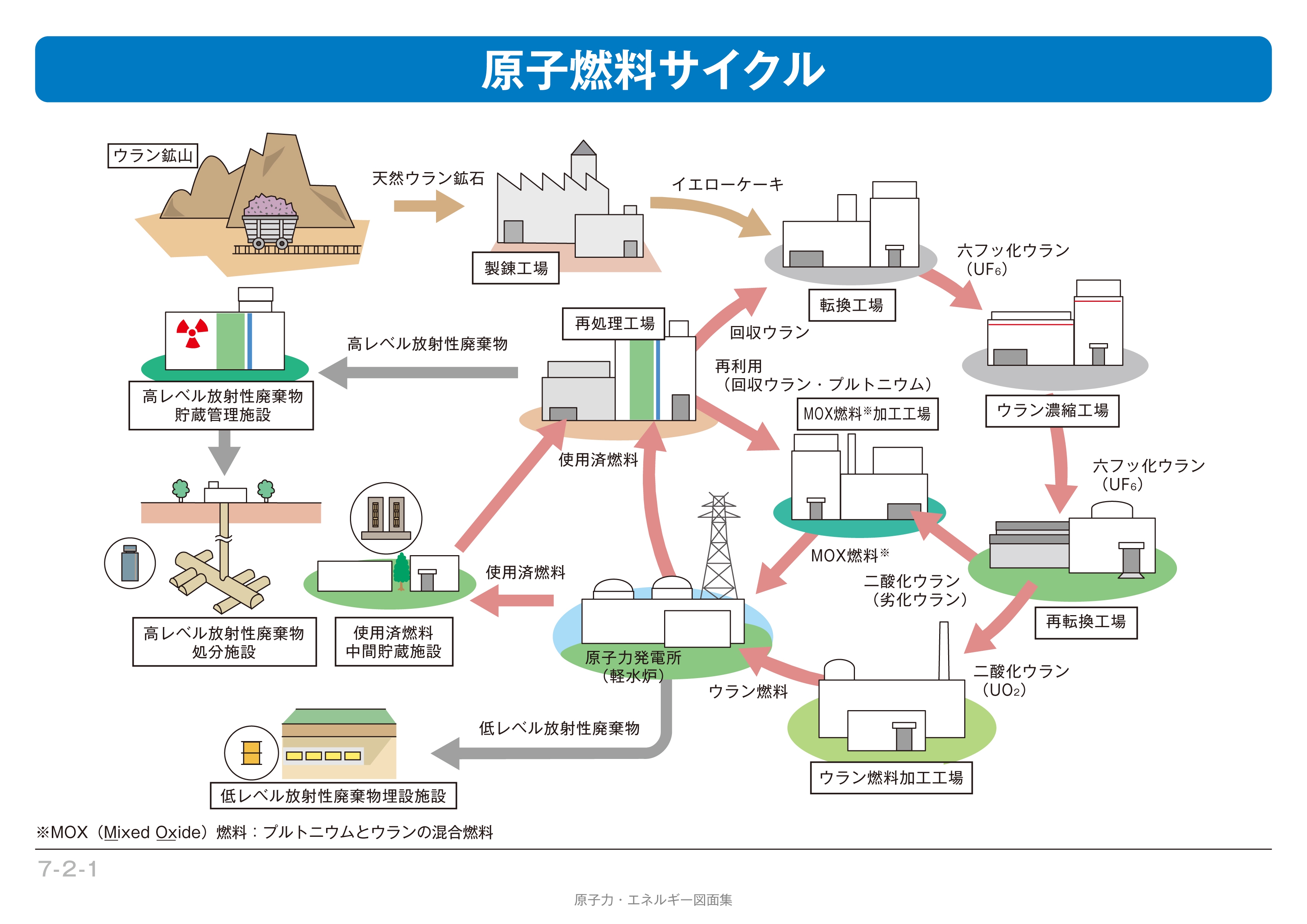 核燃料サイクル関連核種の安全性評価 比較放射毒性学  /日刊工業新聞社/松岡理（単行本） 核燃料サイクル関連核種の安全性評価 比較放射毒性学 /日刊工業