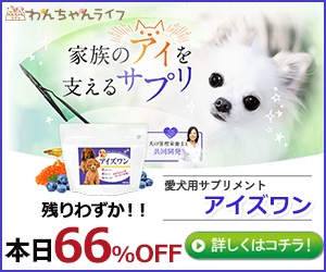 アイズワン アイケア　サプリメント アイズワン | Vet's Eye