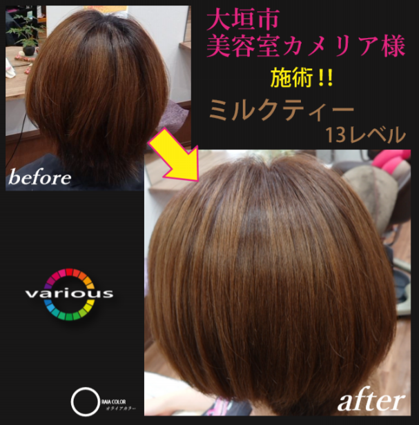 Instagram更新 株式会社various Fields