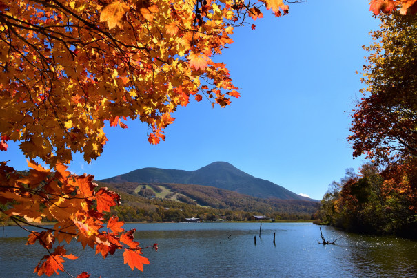 女神湖が紅葉のベストシーズン Bluebell Cottage