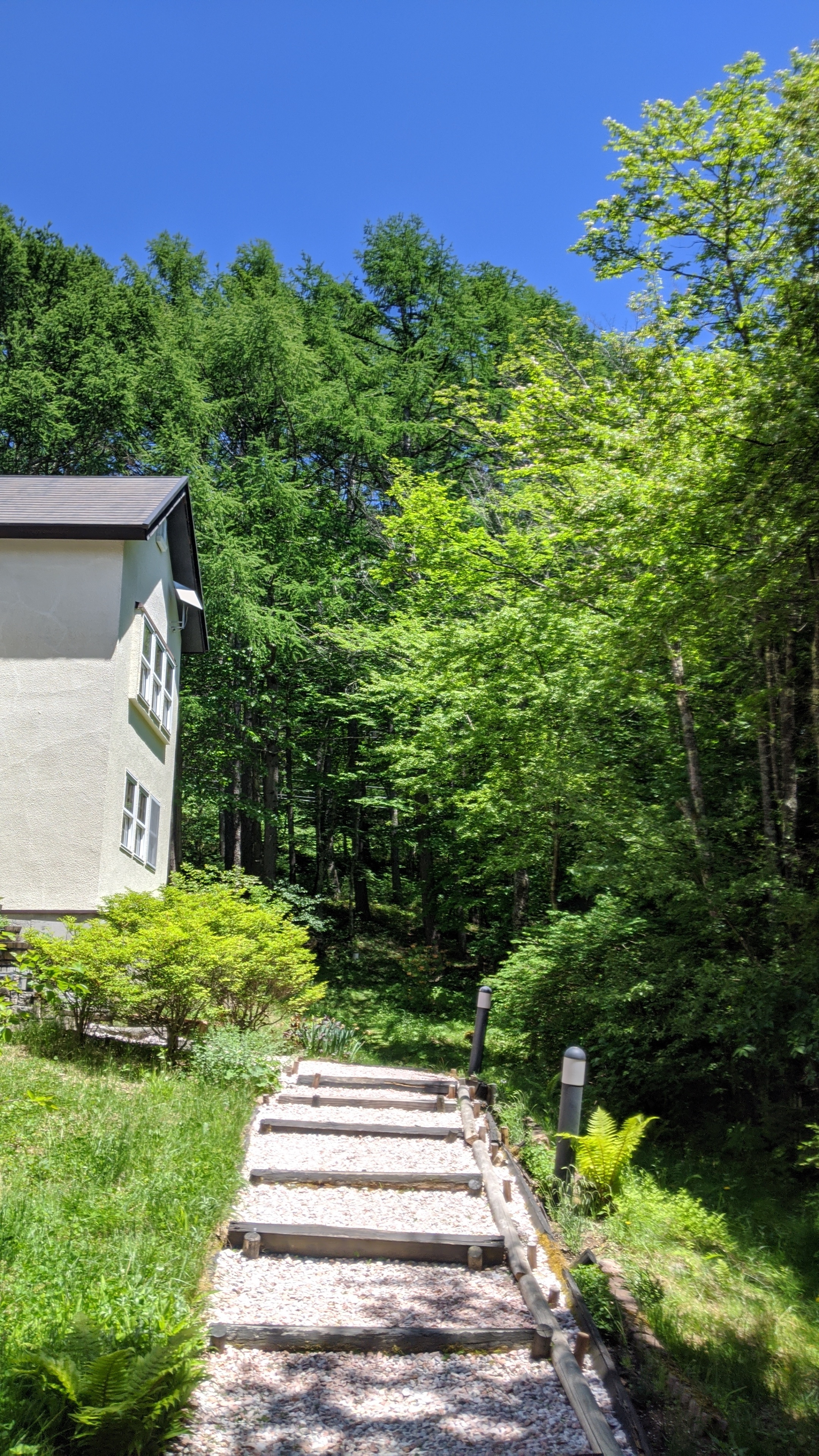 営業再開 緑輝く6月の女神湖 Bluebell Cottage