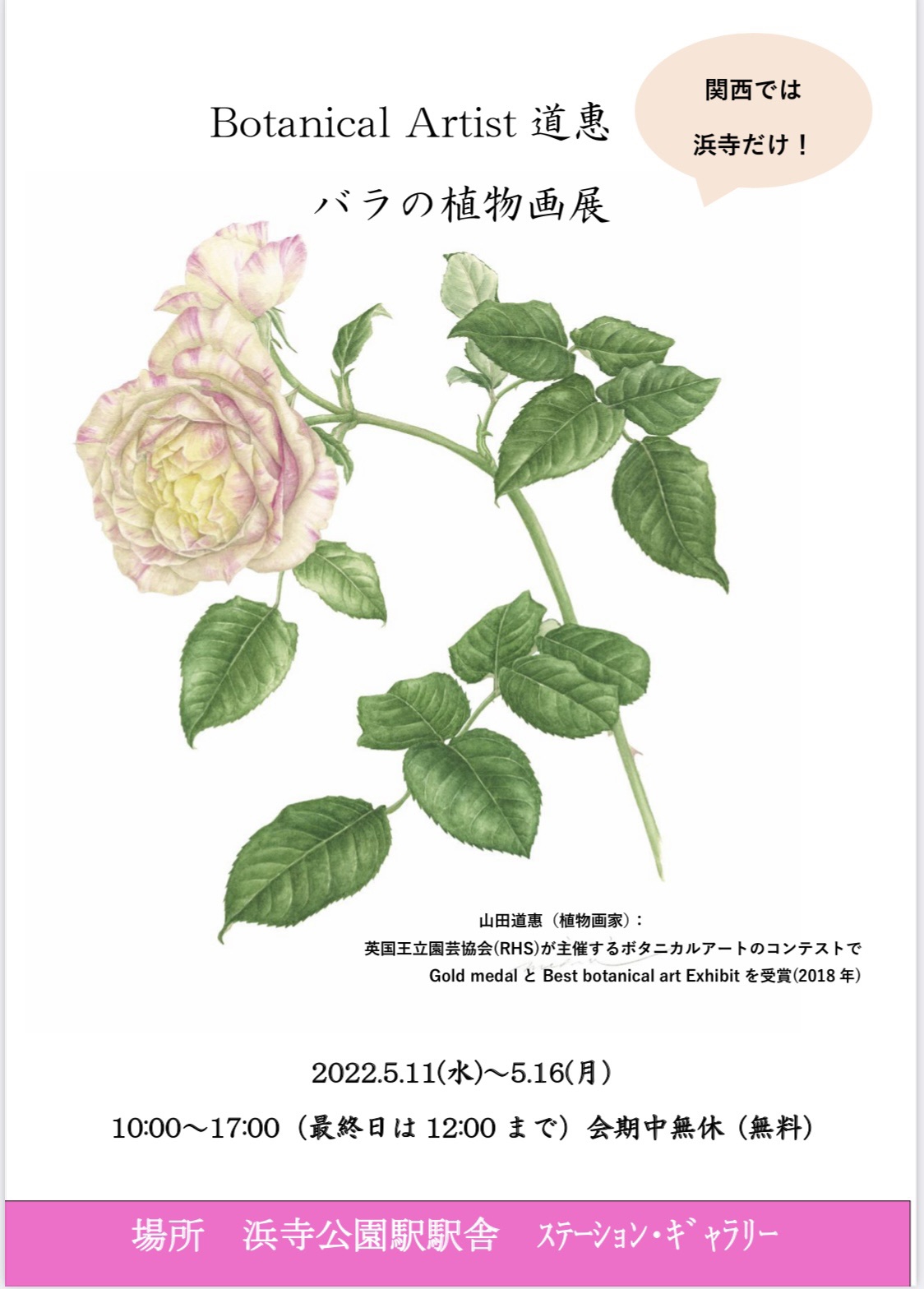 【洋書】ROSES ボタニカルアート バラ 英国王立園芸協会アーカイブ df0629f2a405bc3703a4d8ec043d87