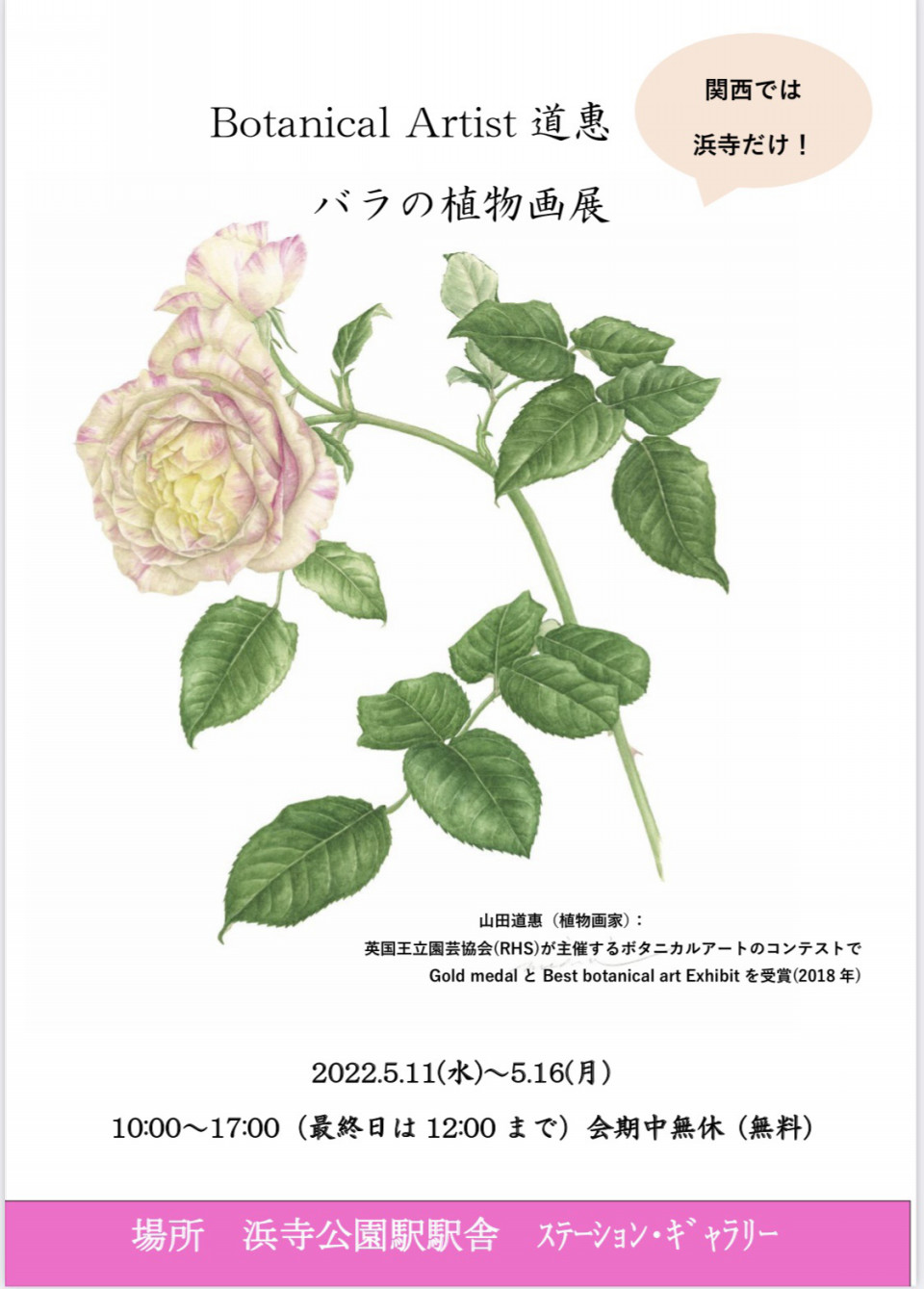 大阪 浜寺公園ばら庭園ボタニカルアート教室のお知らせ Michie Botanical Rose