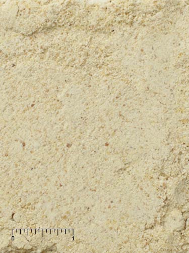 Mazuri(ﾏｽﾞﾘ)】ハンドフィーディング フォーミュラ | 小鳥用品専門店