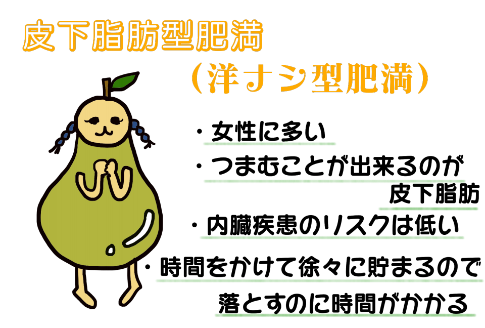 皮下脂肪と内臓脂肪 それぞれの特徴と落としかた 横浜上大岡 整体 筋膜 ハーブボール Sora