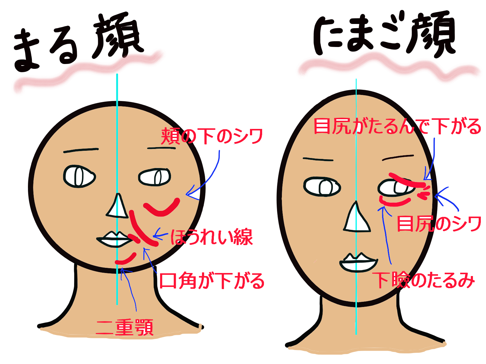 表情筋を理解すると 首から肩が緩む 顔瘦せも可能 おまけ 横浜上大岡 整体 筋膜 ハーブボール Sora