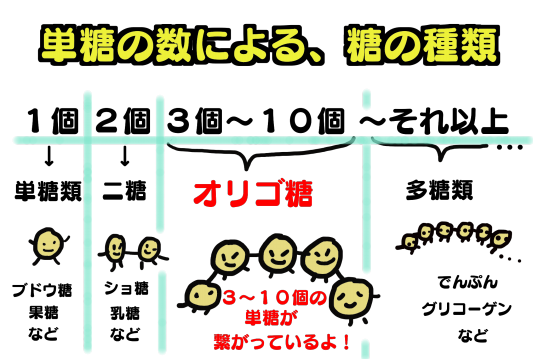 善玉菌をどんどん増やす オリゴ糖 横浜上大岡 整体 筋膜 ハーブボール Sora