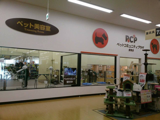 Pcp盛南店 Petclub Group