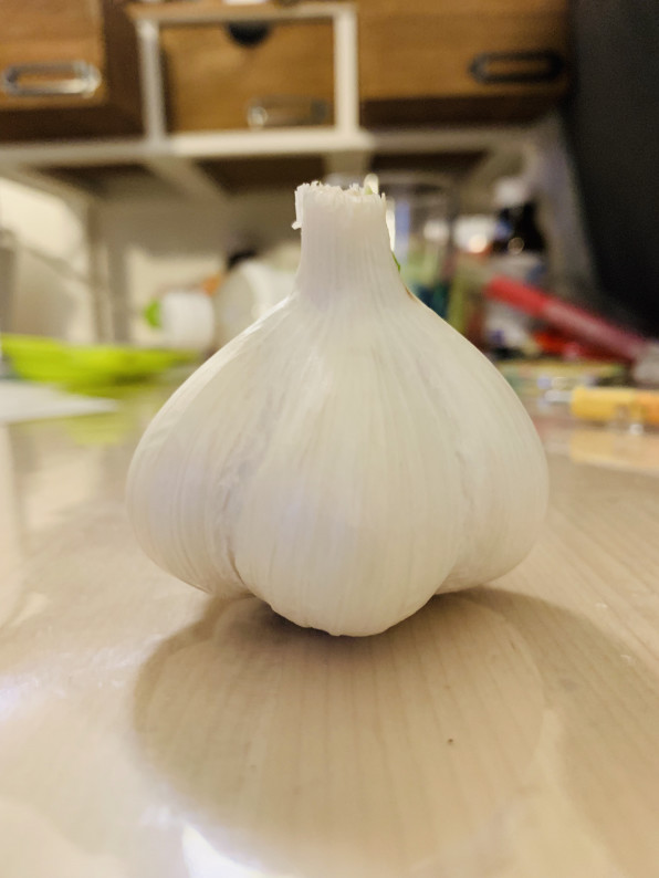 梅雨は食べ物腐る 橋本楓乃 S Ownd 梅雨は食べ物腐る 橋本楓乃 S Ownd