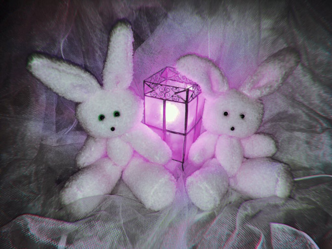 歌やトークをするぬいぐるみ くまきち の生みの親 Tulle チュール