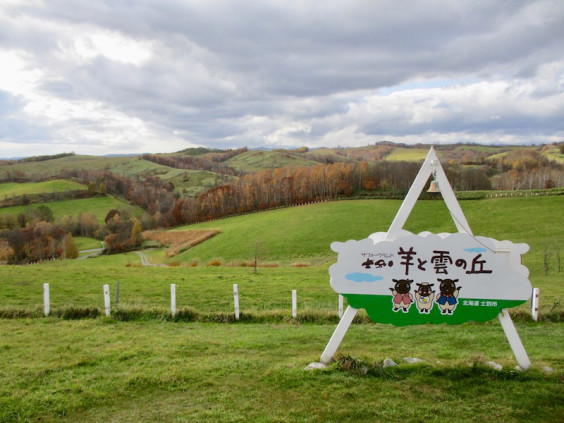 綺麗な丘の風景 羊と雲の丘 イラスト散歩 In Hokkaido