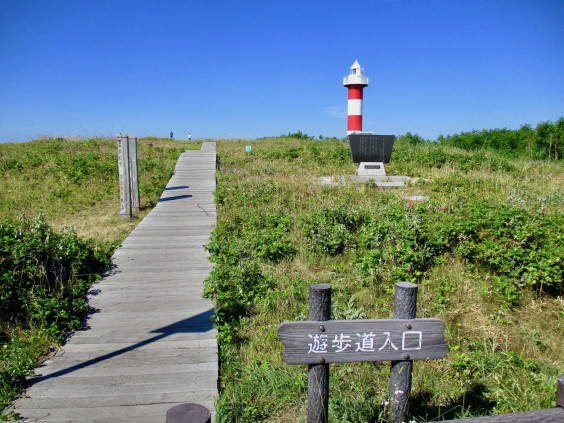 夏の石狩はまなすの丘公園 イラスト散歩 In Hokkaido 夏の石狩はまなすの丘公園 イラスト散歩 In Hokkaido
