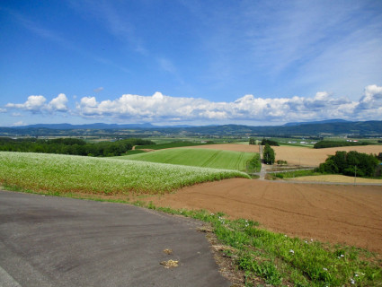 夏景色 イラスト散歩 In Hokkaido