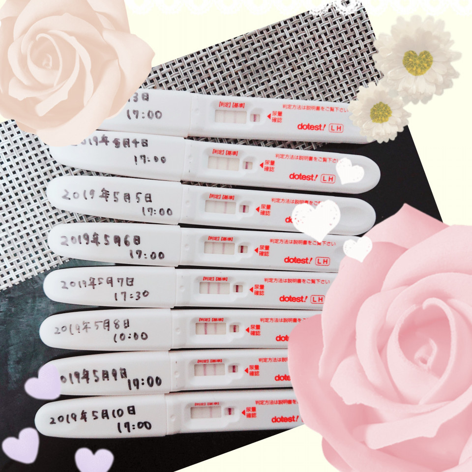 D23 高温期2日目 Baby S Egg