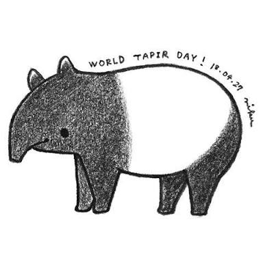 tapir