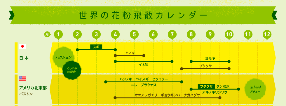 ボストンでの花粉症 Road To Boston