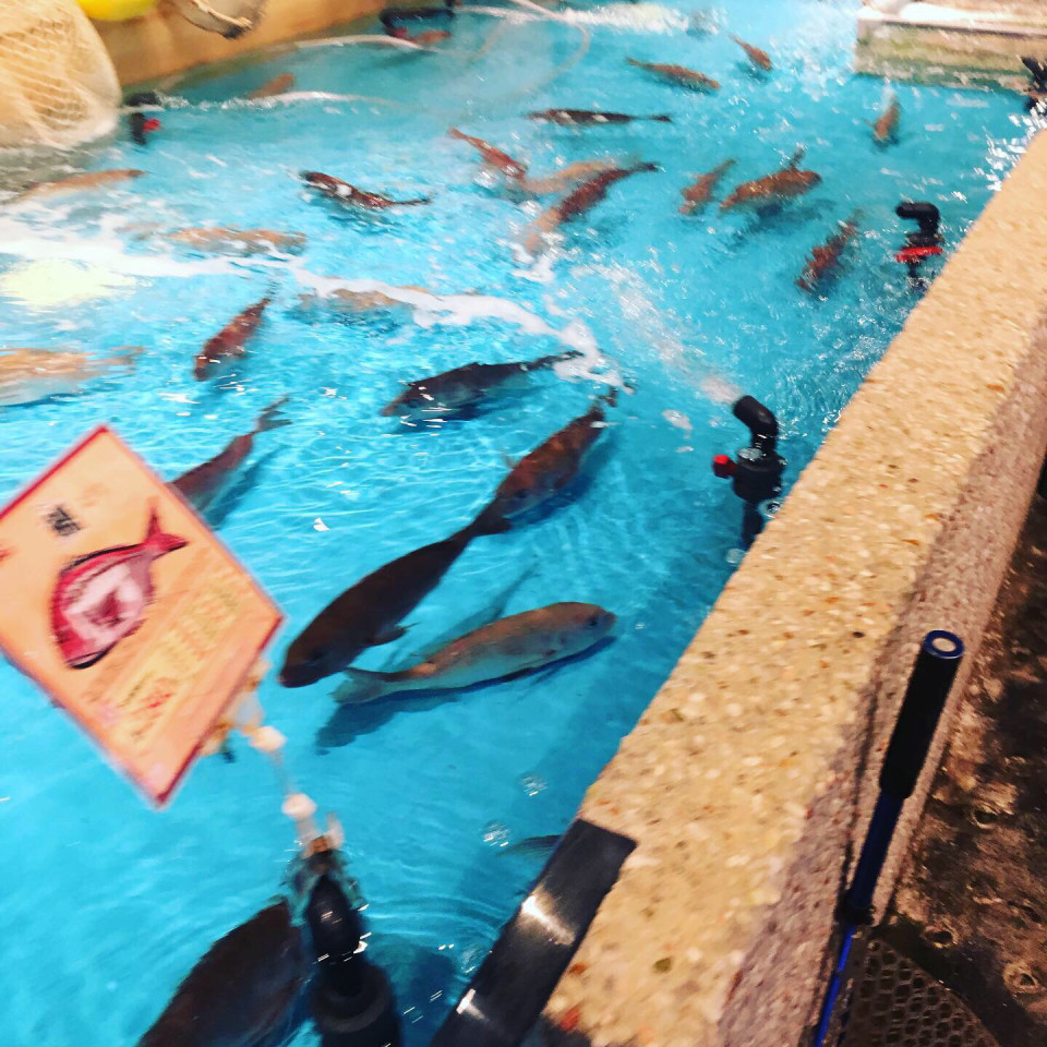 大阪難波 釣り居酒屋 Kyotomachiyatrips S Ownd