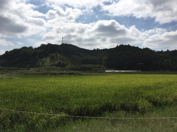 週末ひとり旅 大阪能勢の栗拾い Kyotomachiyatrips S Ownd