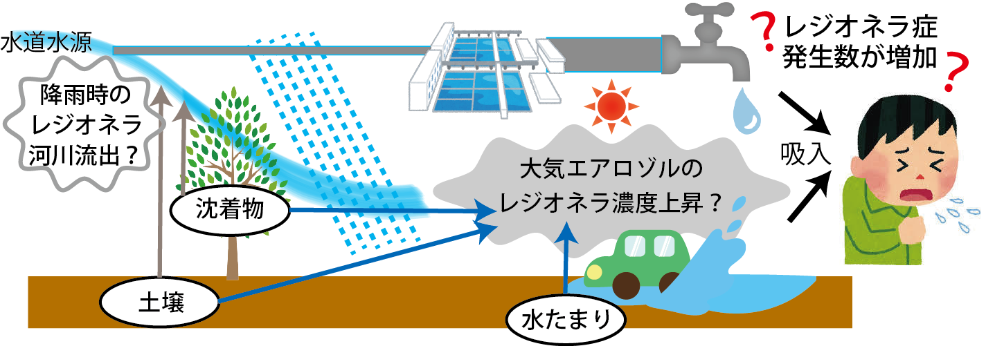 Cientistas estão tentando desenvolver café climaticamente inteligente