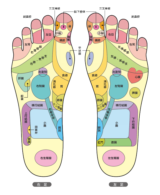 足つぼを刺激してみよう あづまし はり灸マッサージ院