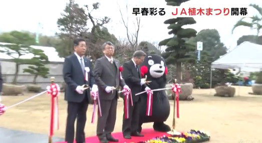 春はそこに ｊａ植木まつり始まる 全日本盆栽協会