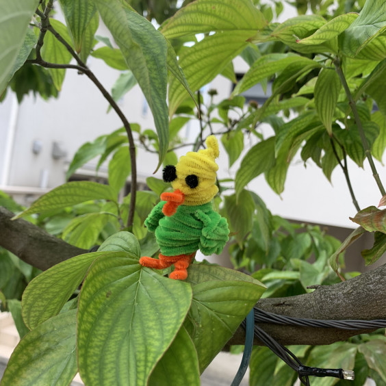 モールインコを作りました こどもそうぞう絵画工作教室 用賀 はっち