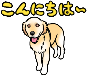 美人ゴールデンレトリバー ララちゃん Nick Kaiser Charmie S Ownd 美人ゴールデンレトリバー ララちゃん Nick Kaiser Charmie S Ownd