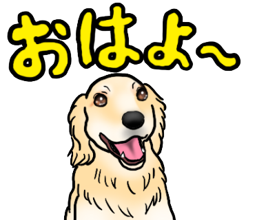 美人ゴールデンレトリバー ララちゃん Nick Kaiser Charmie S Ownd 美人ゴールデンレトリバー ララちゃん Nick Kaiser Charmie S Ownd