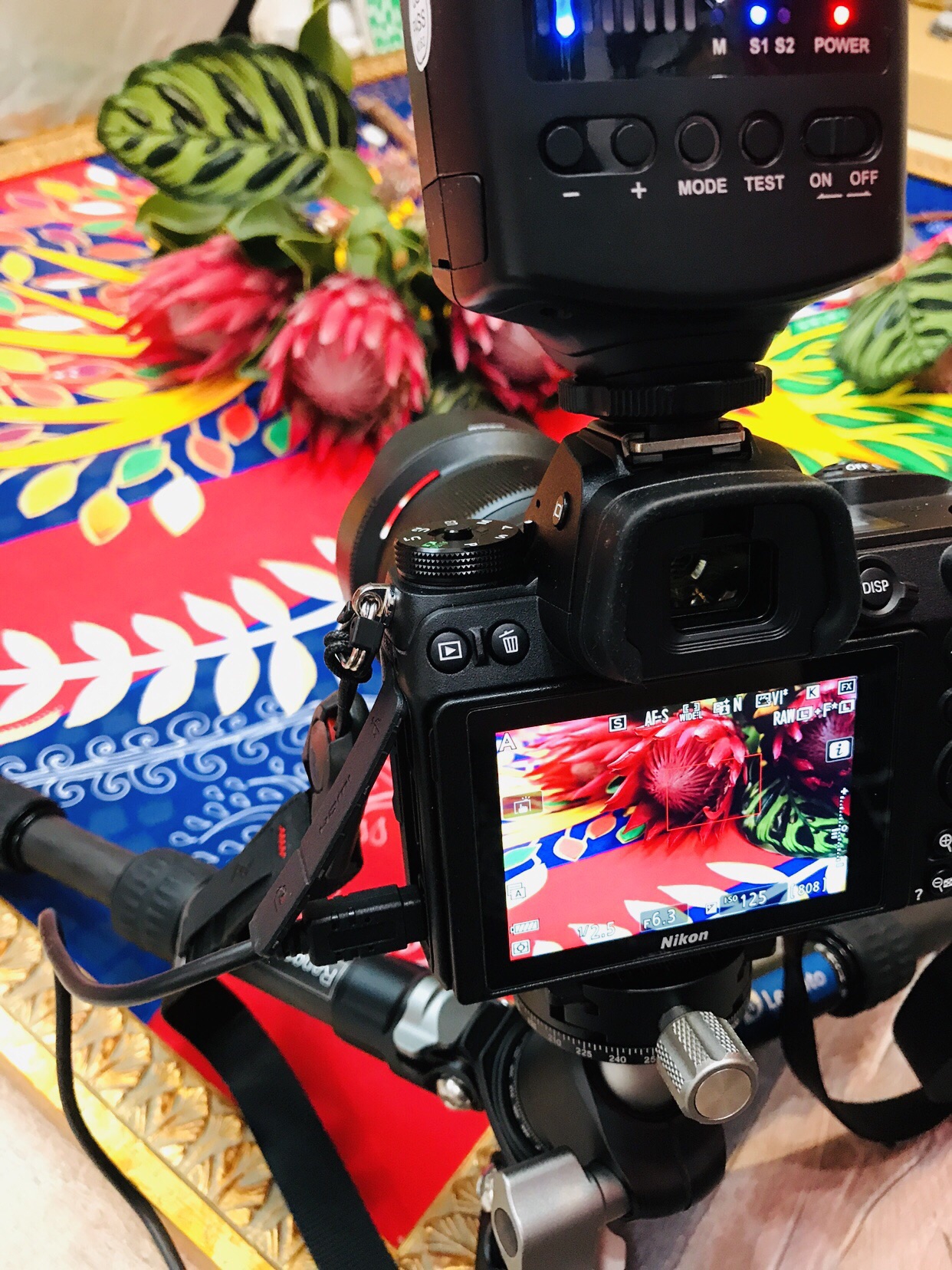 ❤️Nikon D5300 ❤️ストロボ付き 赤❤️ Nikon D5300 赤 ストロボ