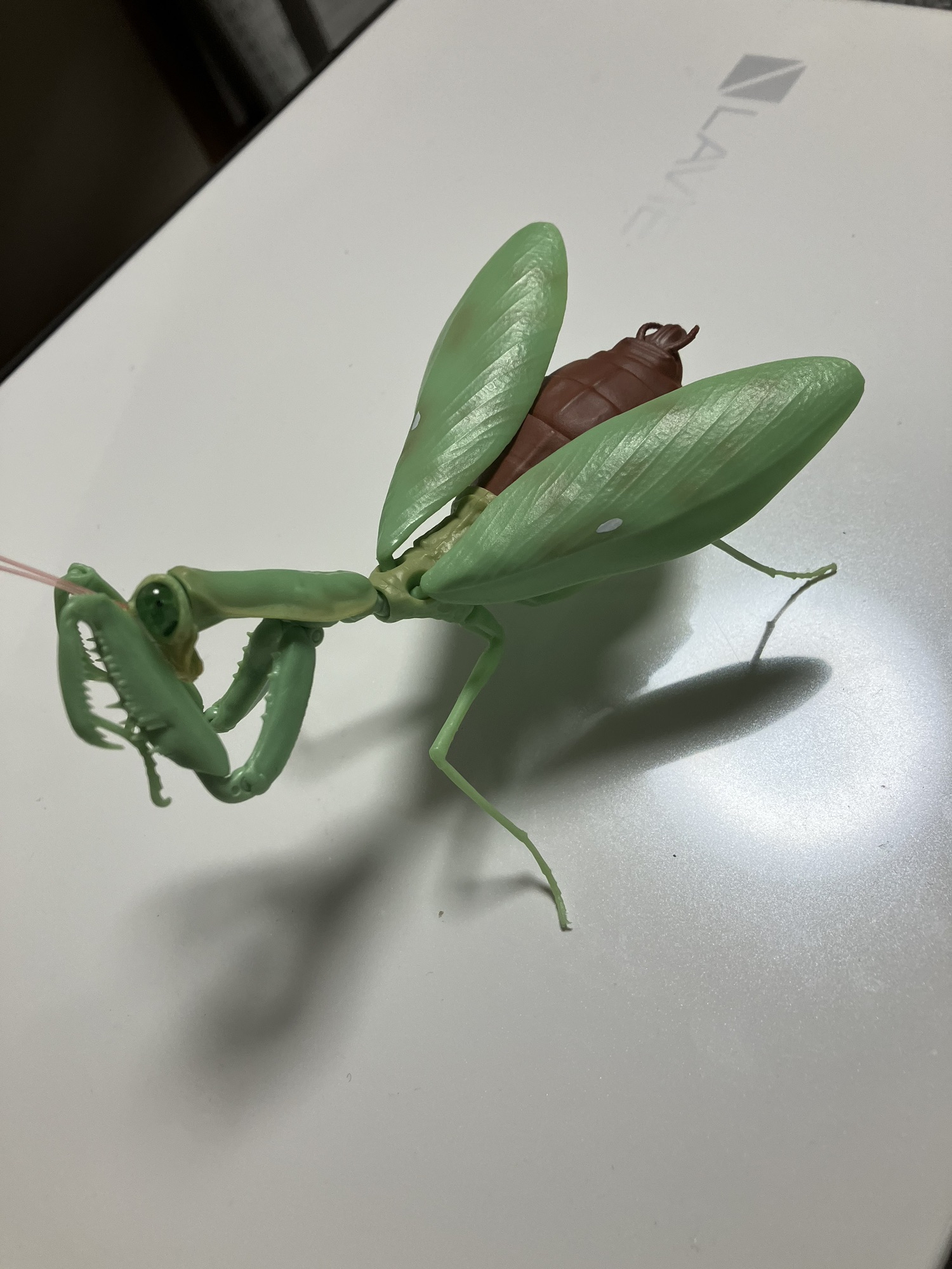 カマキリ ファーム