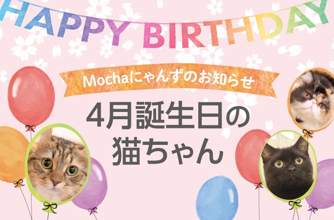 4月誕生日モカにゃんずのお知らせ 猫カフェモカ お知らせ メディア掲載情報