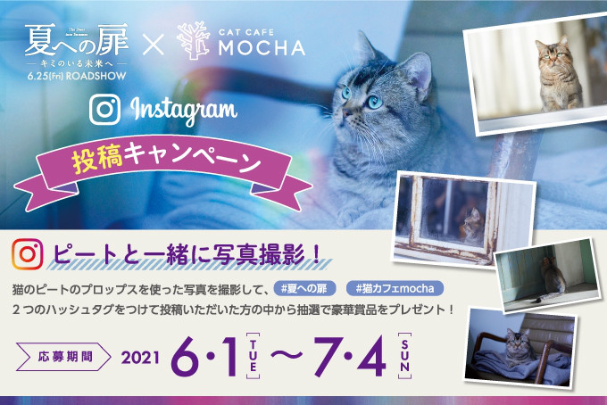 映画 夏への扉 キミのいる未来へ 猫カフェmocha タイアップキャンペーン 猫カフェモカ お知らせ メディア掲載情報