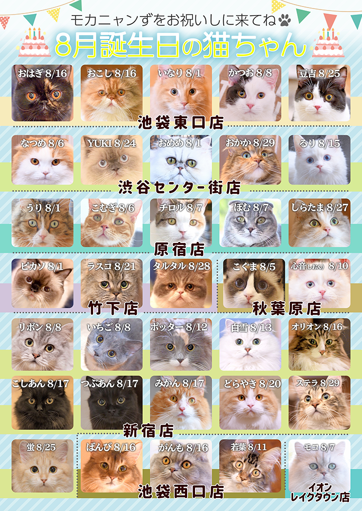 ８月誕生日モカにゃんずのお知らせ | 猫カフェモカ お知らせ/メディア