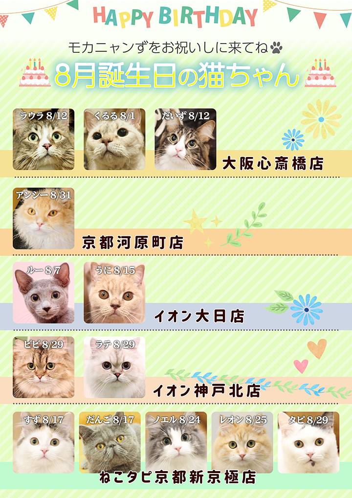 ８月誕生日モカにゃんずのお知らせ 猫カフェモカ お知らせ メディア掲載情報