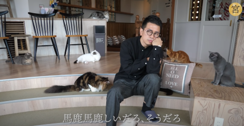 メディア情報 ページ1 猫カフェモカ お知らせ メディア掲載情報 メディア情報 ページ1 猫カフェモカ お知らせ メディア掲載情報