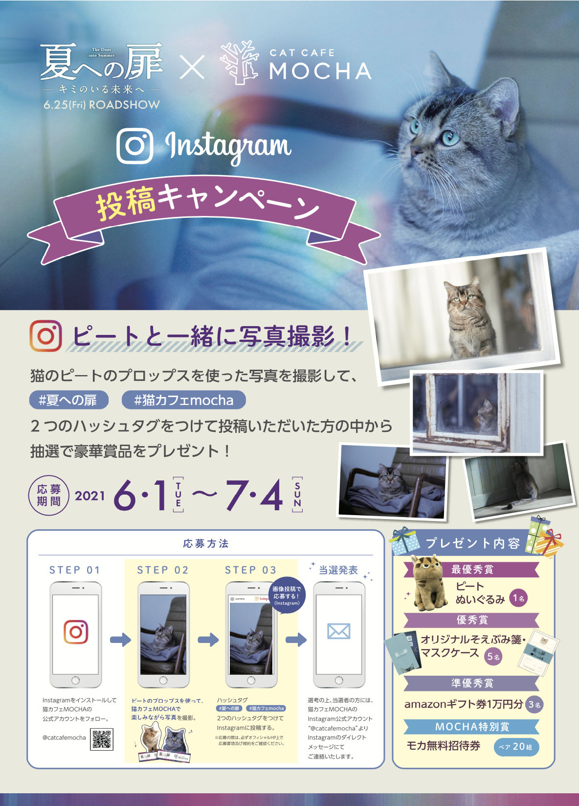 映画『夏への扉-キミのいる未来へ-』×猫カフェMOCHA タイアップ