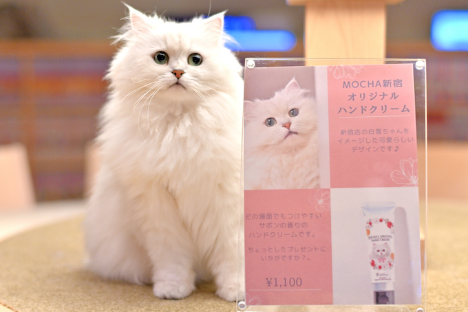 Mochaオリジナルハンドクリーム発売中 猫カフェモカ お知らせ メディア掲載情報