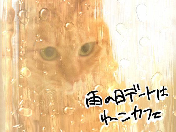 カップルのお客様限定キャンペーン開催 猫カフェモカ お知らせ メディア掲載情報 カップルのお客様限定キャンペーン開催 猫カフェモカ お知らせ メディア掲載情報