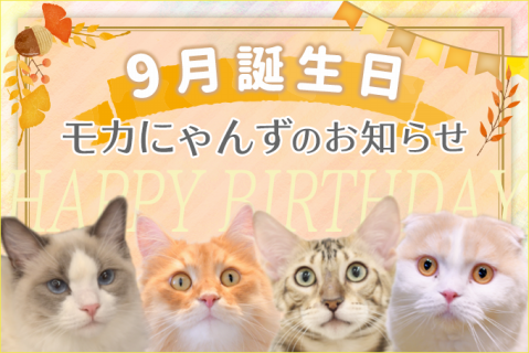 猫カフェモカ お知らせ メディア掲載情報の記事一覧 ページ5