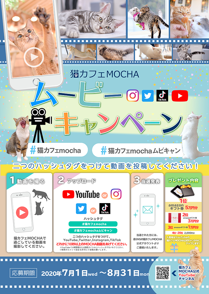 本日スタート 猫カフェmochaムービーキャンペーンを開催いたします 猫カフェモカ お知らせ メディア掲載情報