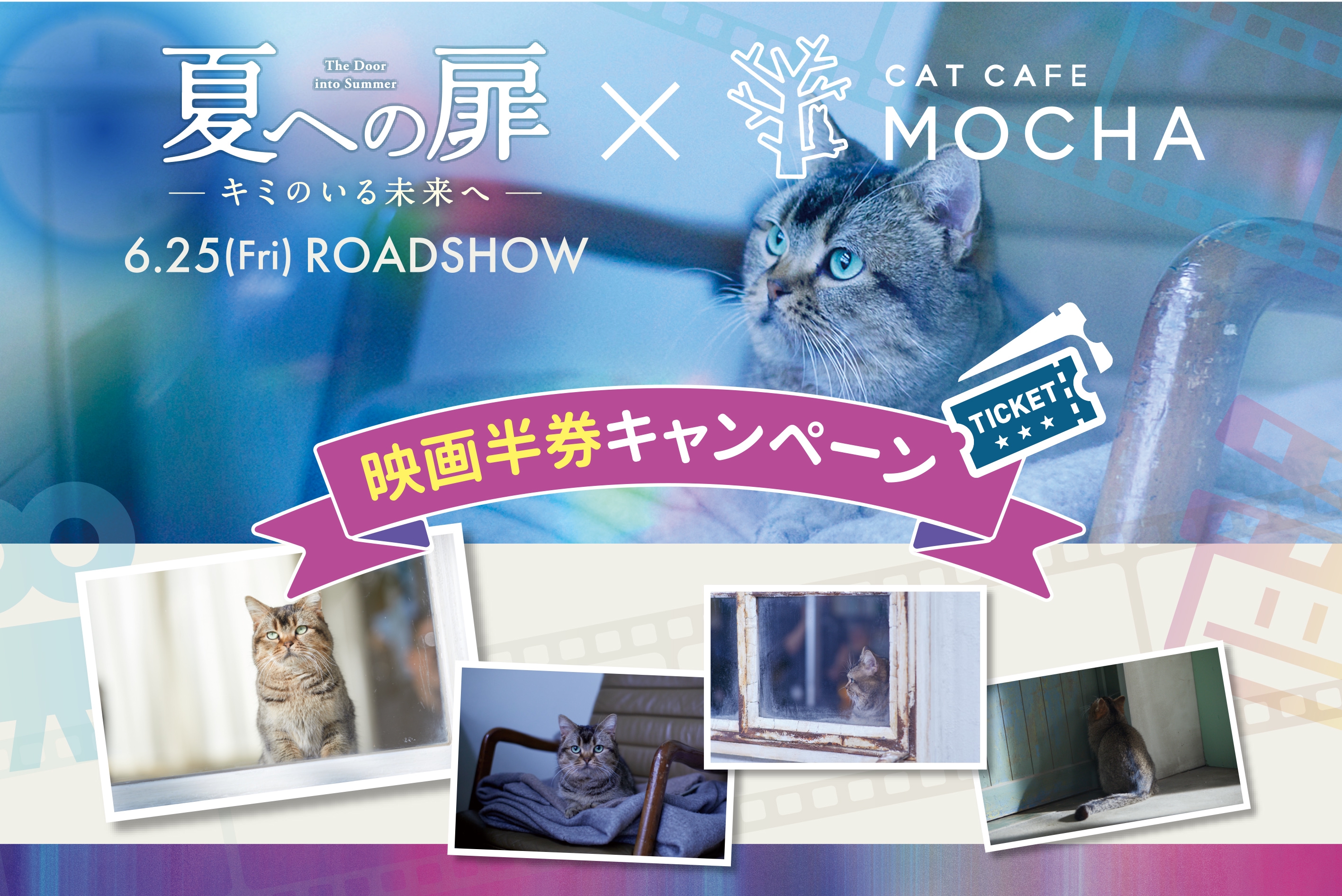 映画半券キャンペーン 映画 夏への扉 キミのいる未来へ 猫カフェmocha タイアップキャンペーン その2 猫カフェモカ お知らせ メディア掲載情報