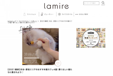 メディア情報 猫カフェモカ お知らせ メディア掲載情報