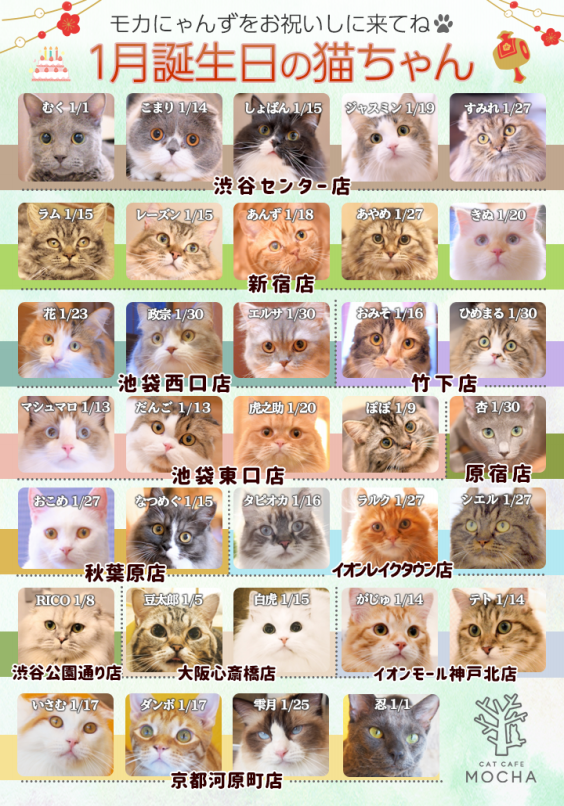 1月誕生日モカにゃんずのお知らせ | 猫カフェモカ お知らせ/メディア