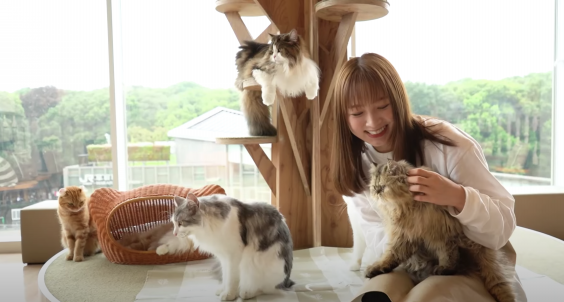 猫カフェmocha原宿店が東由樹さんのyoutubeチャンネルで使用されました 猫カフェモカ お知らせ メディア掲載情報