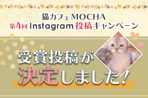 猫カフェmochaインスタグラム投稿キャンペーン第4弾たくさんのご応募ありがとうございました 猫カフェモカ お知らせ メディア掲載情報